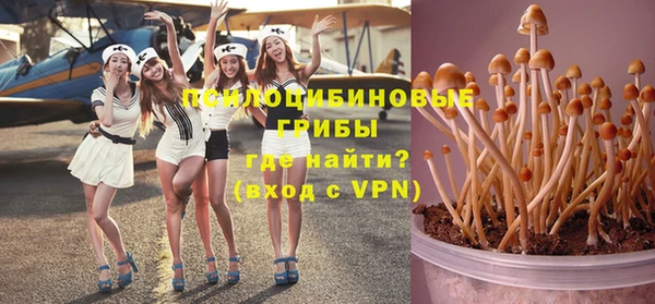 Альфа ПВП Горнозаводск