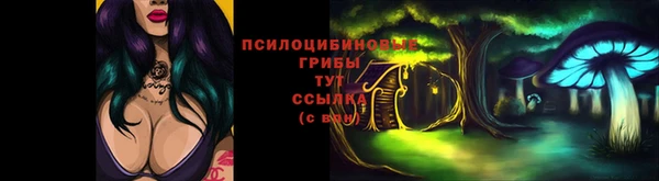 гашик Бежецк