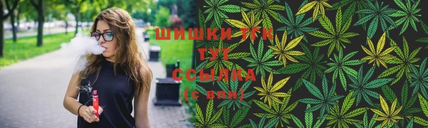 Альфа ПВП Горнозаводск