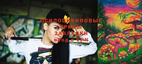Альфа ПВП Горнозаводск